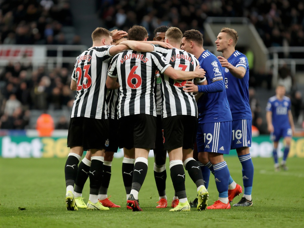 这片绿茵场 这片绿茵场